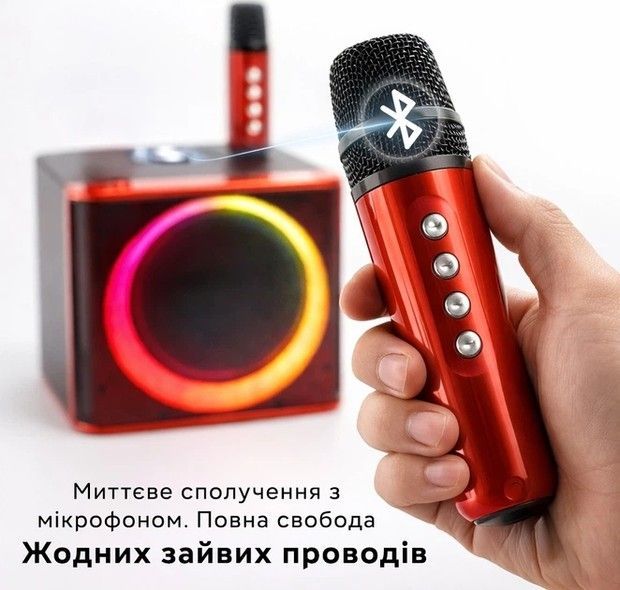 Портативна караоке-система YS-309 red YS-309-red фото