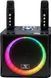 Портативна караоке-система YS-309 black YS-309-black фото 1
