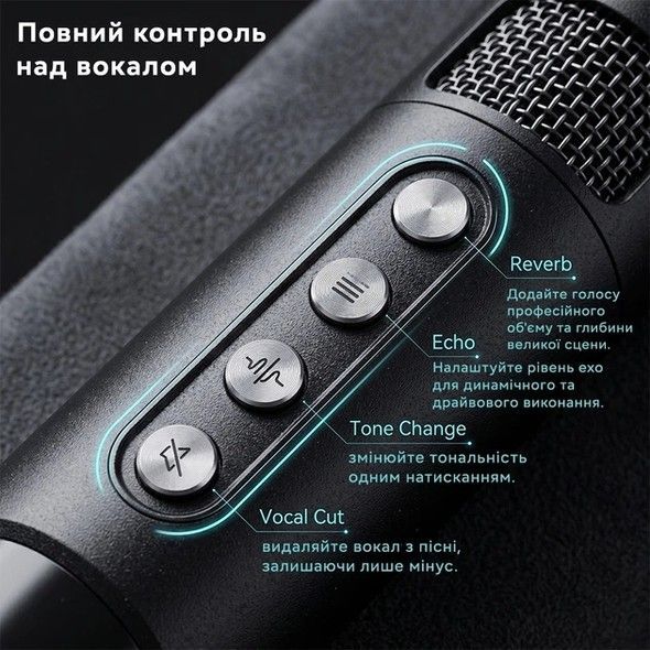 Портативна караоке-система YS-228 Black YS-228-black фото