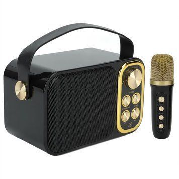 Портативна караоке-система INSPIRE YS-103 black
