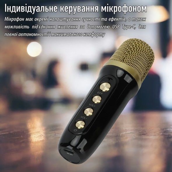 Портативна караоке-система INSPIRE YS-103 black