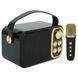 Портативна караоке-система INSPIRE YS-103 black