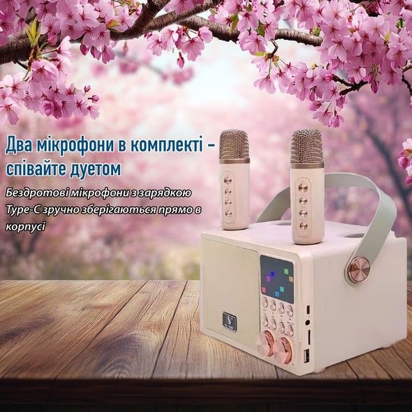 Портативная караоке-система INSPIRE YS-311 pink