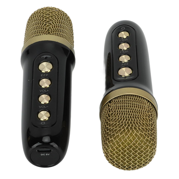 Портативная караоке-система INSPIRE YS-105 black