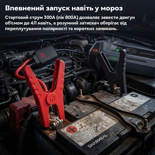 Пускозарядний пристрій Inspire TM16KA 12 В 8000 мА&middot;год компресор USB-зарядка LED-ліхтарик сумка (TM16KA)