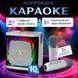 Портативна караоке-система INSPIRE YS-308 white