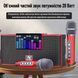 Портативная караоке-система INSPIRE YS-208 red