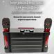Портативная караоке-система INSPIRE YS-208 red